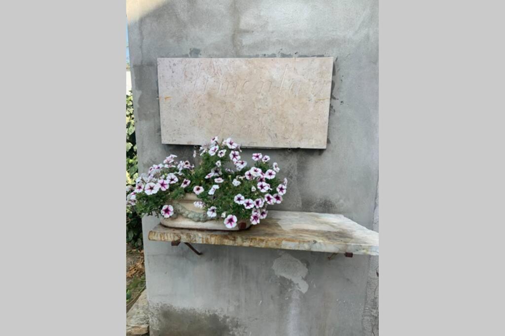 Antica Casa Nel Borgo Apartment Pietrasanta Bagian luar foto