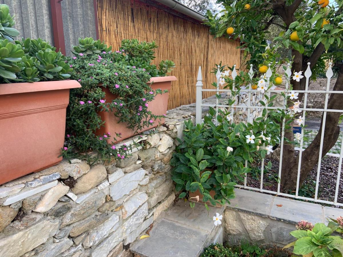 Antica Casa Nel Borgo Apartment Pietrasanta Bagian luar foto